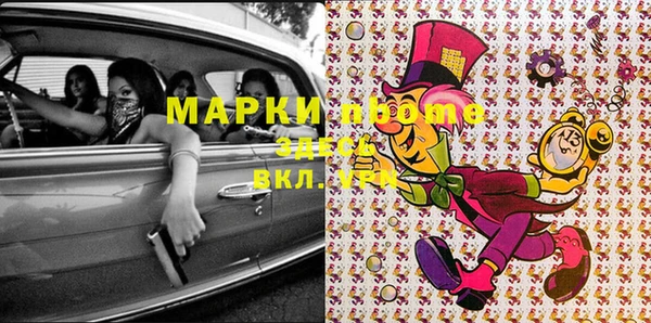 прущие грибы Богданович