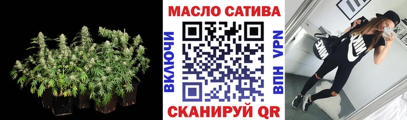 ссылка на мегу вход  Елизаветинская  ТГК THC oil  купить наркотики сайты 