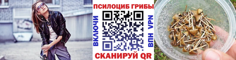 Псилоцибиновые грибы мухоморы  mega   Елизаветинская  где продают наркотики 